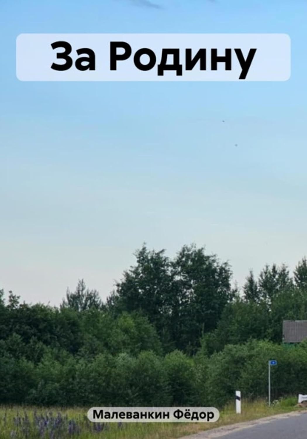 За Родину (Russian Edition)
