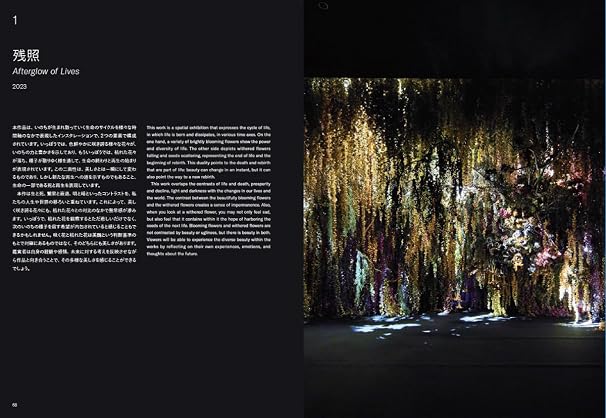 Mika Ninagawa Exhibition: Eternity in a Moment Eternity in the Blink