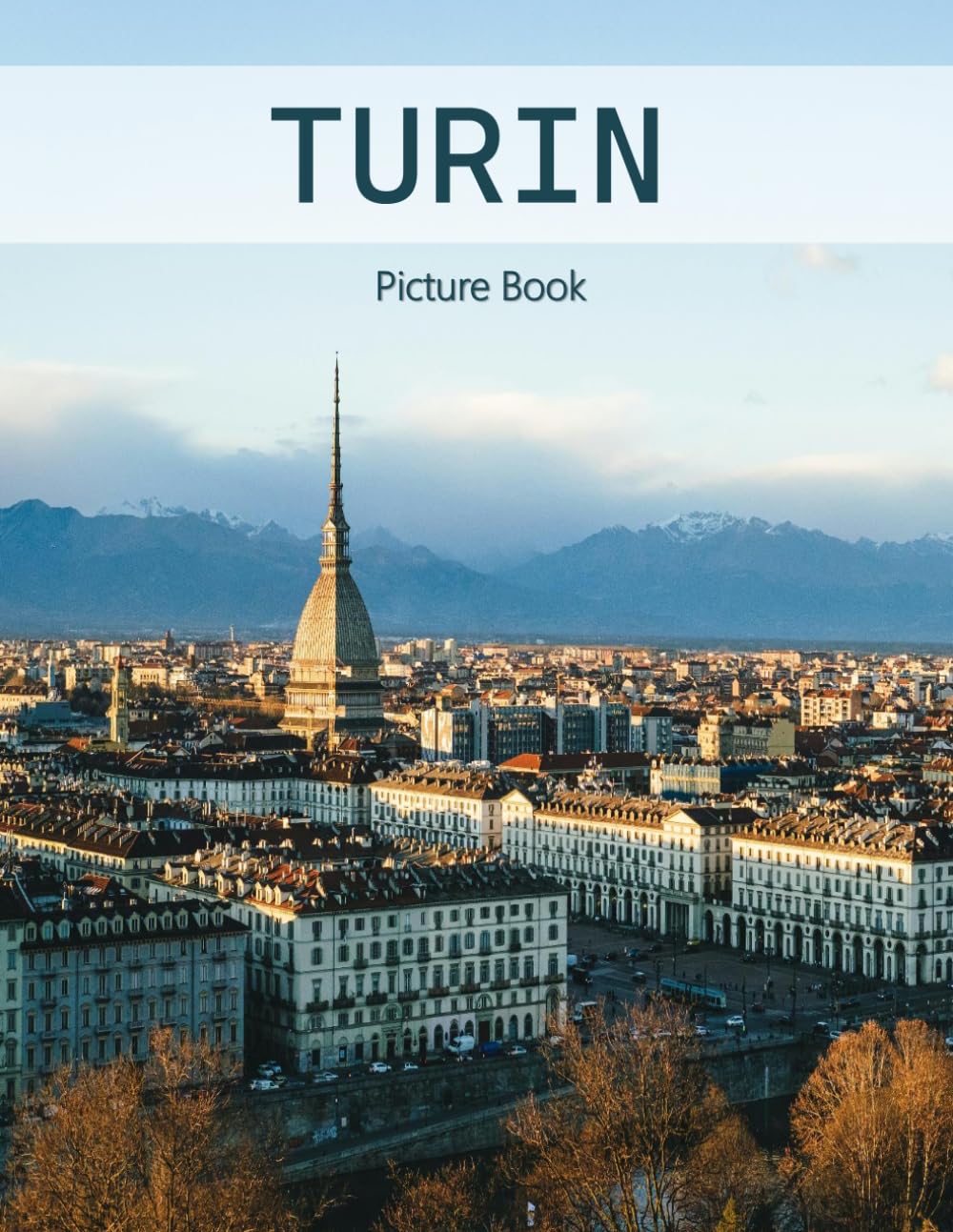 Turin: A Beautifully Curated Coffee Table Book for Travel and Tourism Enthusiasts