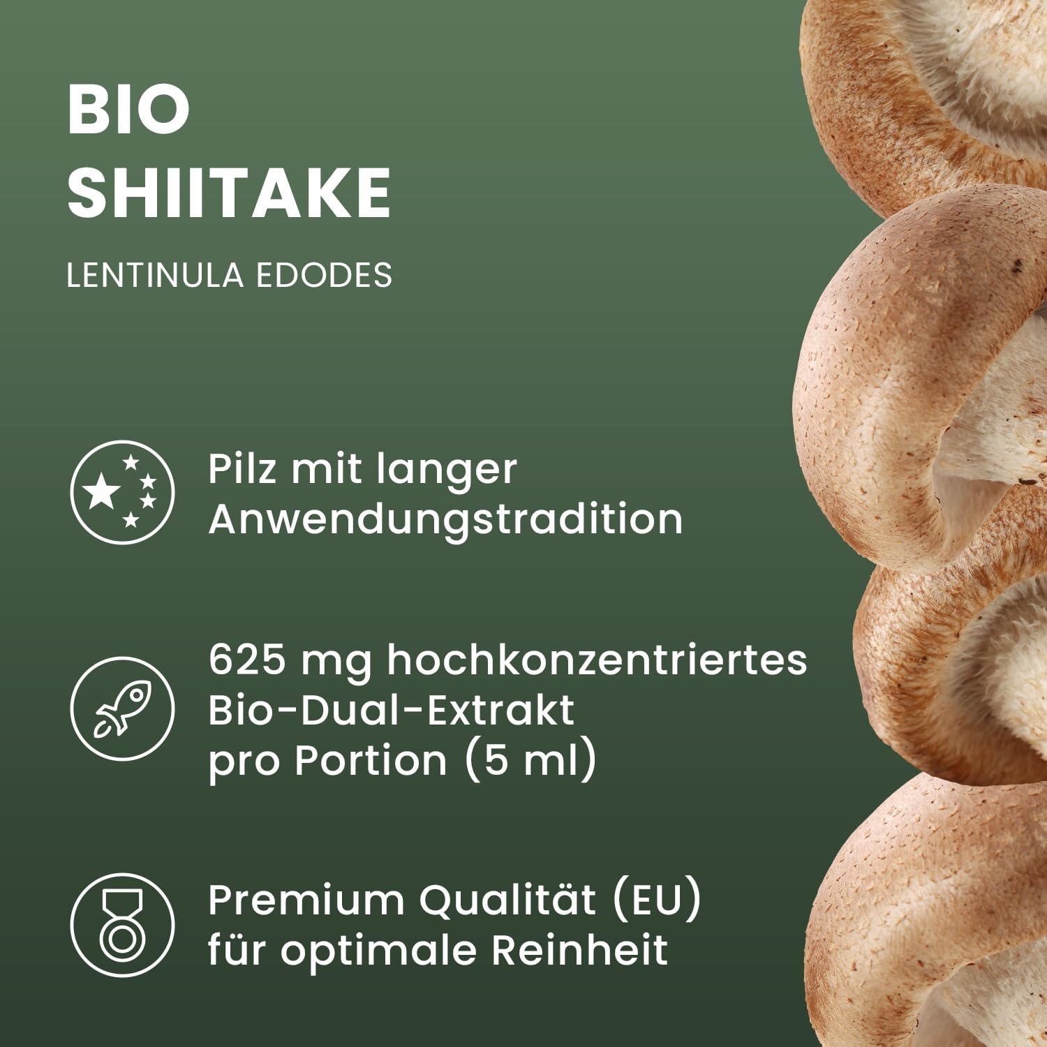 Bio Shiitake Flüssigextrakt hochkonzentriert - Dual-Extrakt auf Glycerin Basis - hochdosiert, alkoholfrei - 100 ml - Lentinula edodes Vitalpilze Extrakt - AT-BIO-701