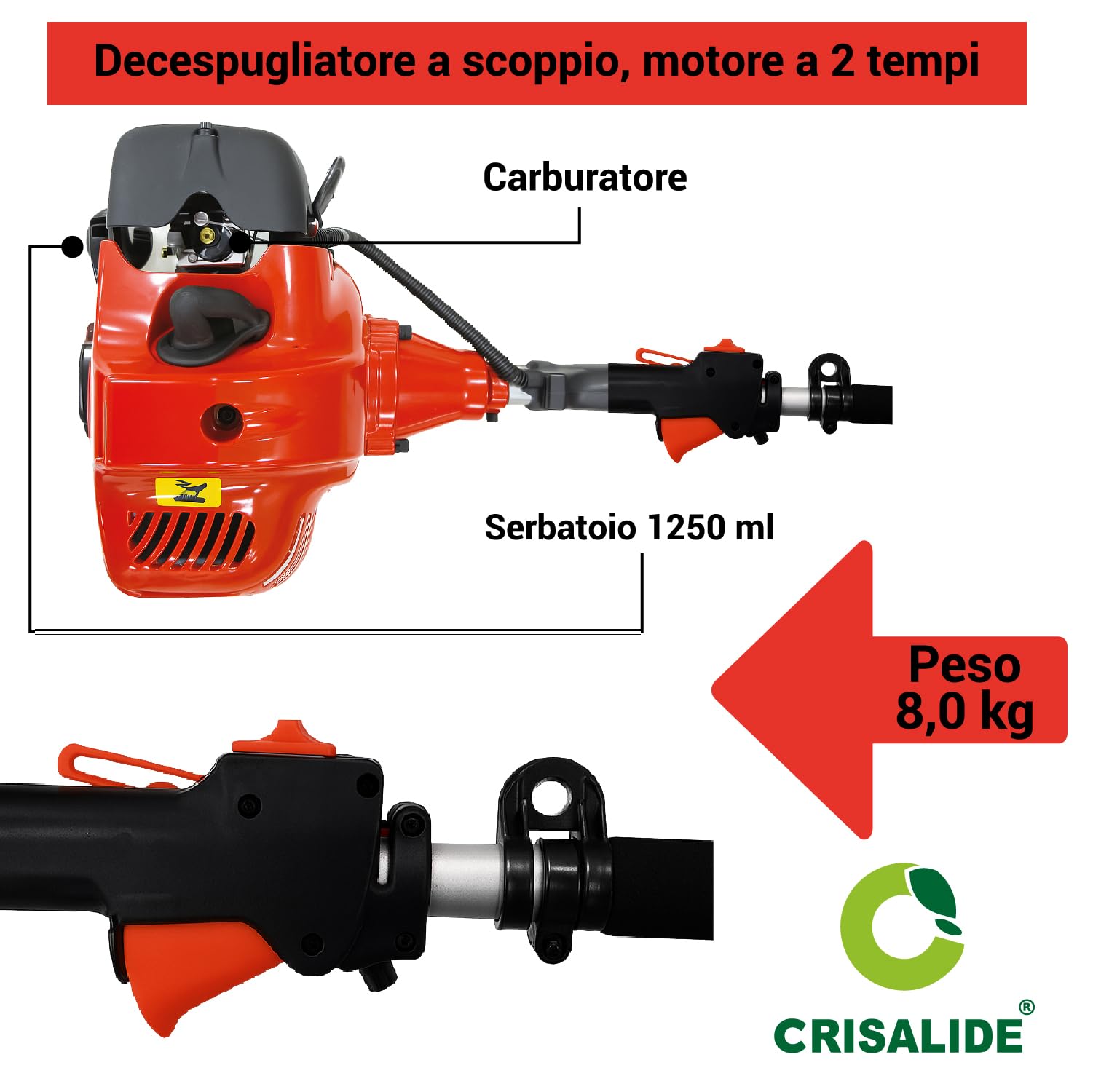 Crisalide Desbrozadora de explosión de 43 cc, motor de 2 tiempos, potencia 1,25 kW (8000 rpm) – Cuchilla de 3 dientes + cabezal de nailon + arnés – Cortacésped profesional para jardín y huerto