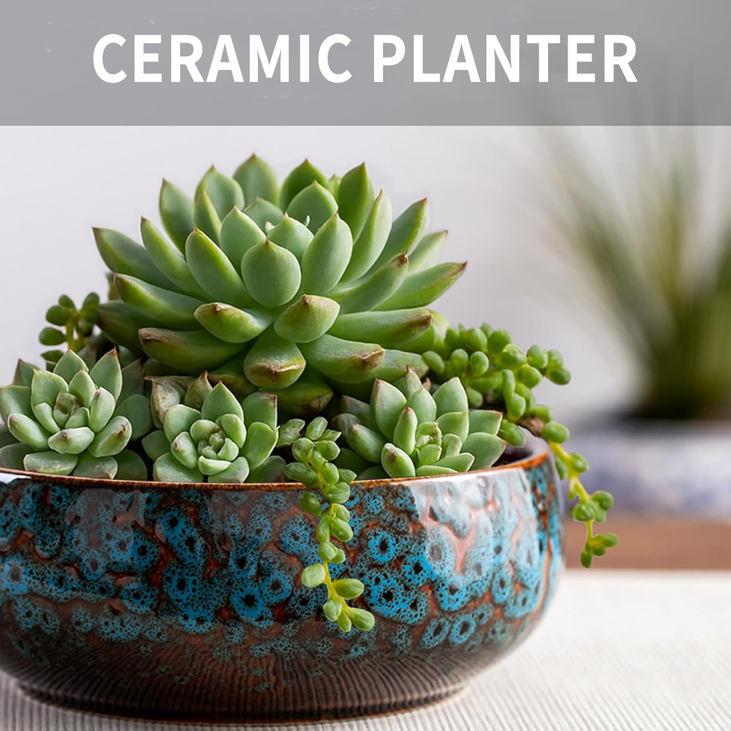 Lotus Flower Bowl Planter 6.6" Round Pot– Ceramic Shallow Succulent & Water Lotus Pot – Wide Low Ceramic Bowl for Bonsai Indoor Decor