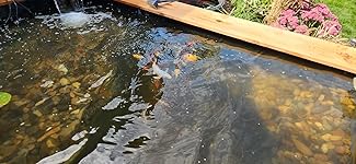 Review Image by Kindle Customer Kindle Customer