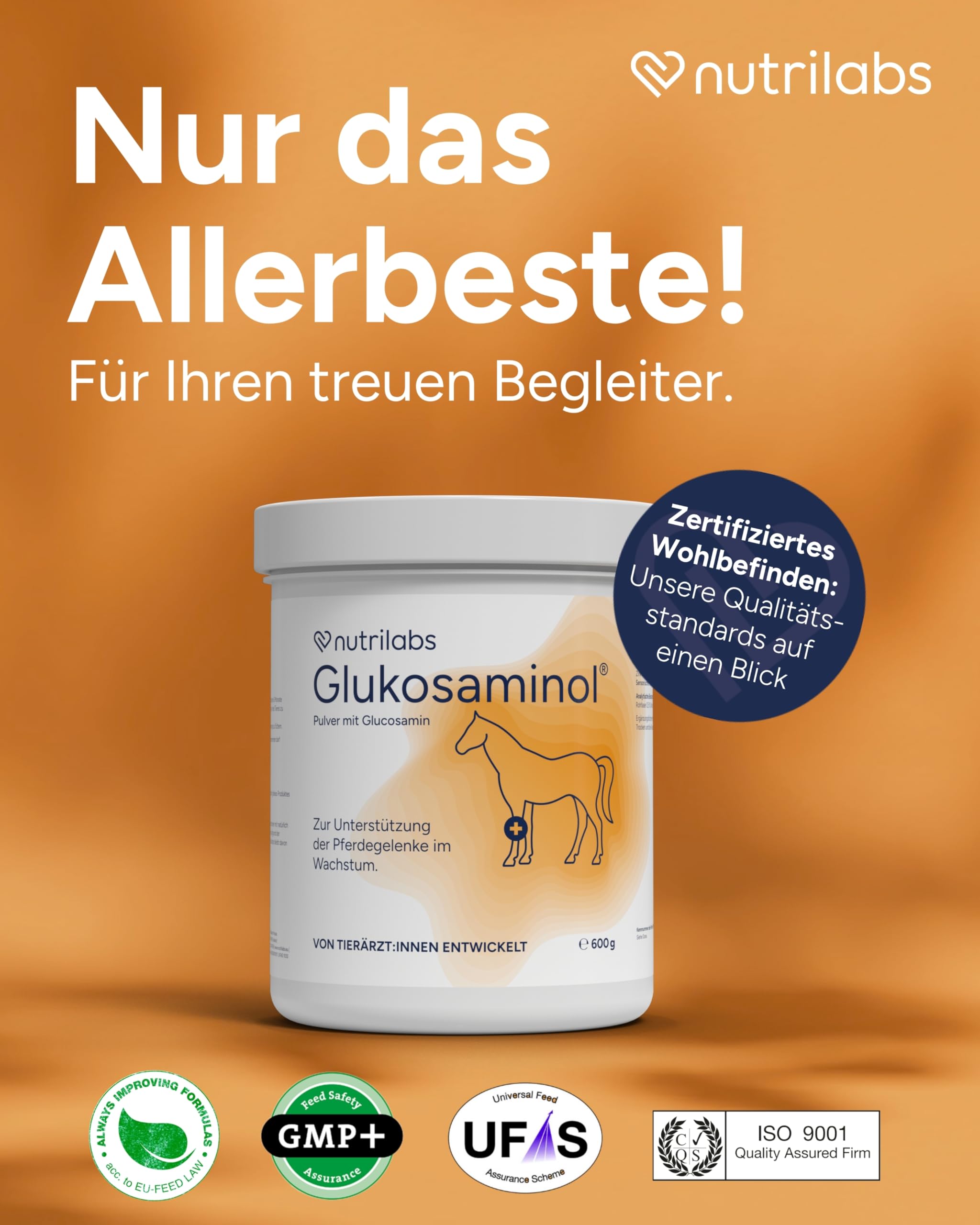 NutriLabs Glukosaminol® equin Gelenk-Pulver für Jung-Pferde 600 g - mit Glucosamin & Magnesium - Pferdenahrungsergänzungsmittel - Gelenknahrung