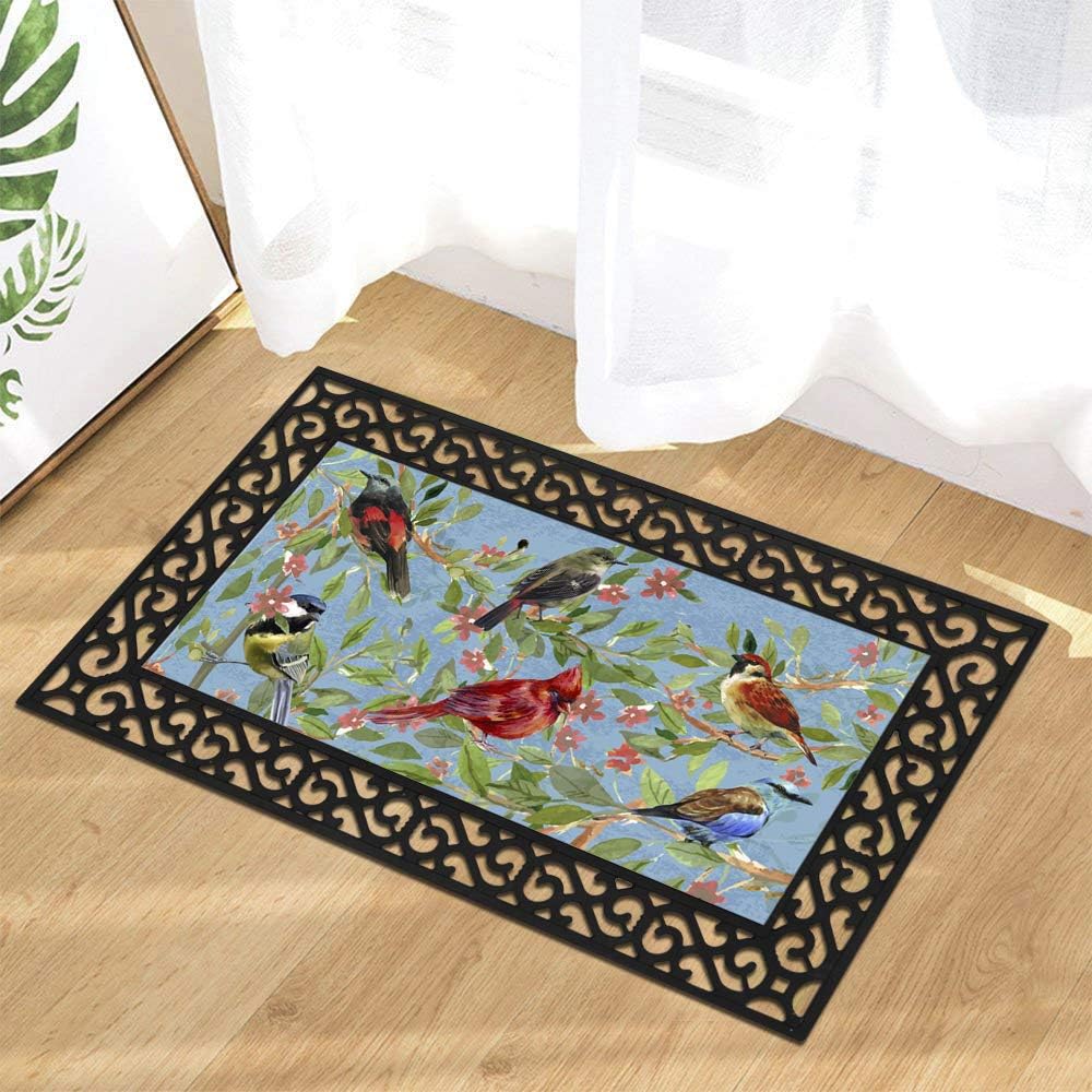 Attraction Design Rubber Welcome Door Mat, Decorative Indoor Outdoor Doormat Non Slip Front Door Mat, Easy to Clean Low Profile Mat for Entry Patio Garage High Traffic Areas, 17.7" x 29.5" (Bird A)