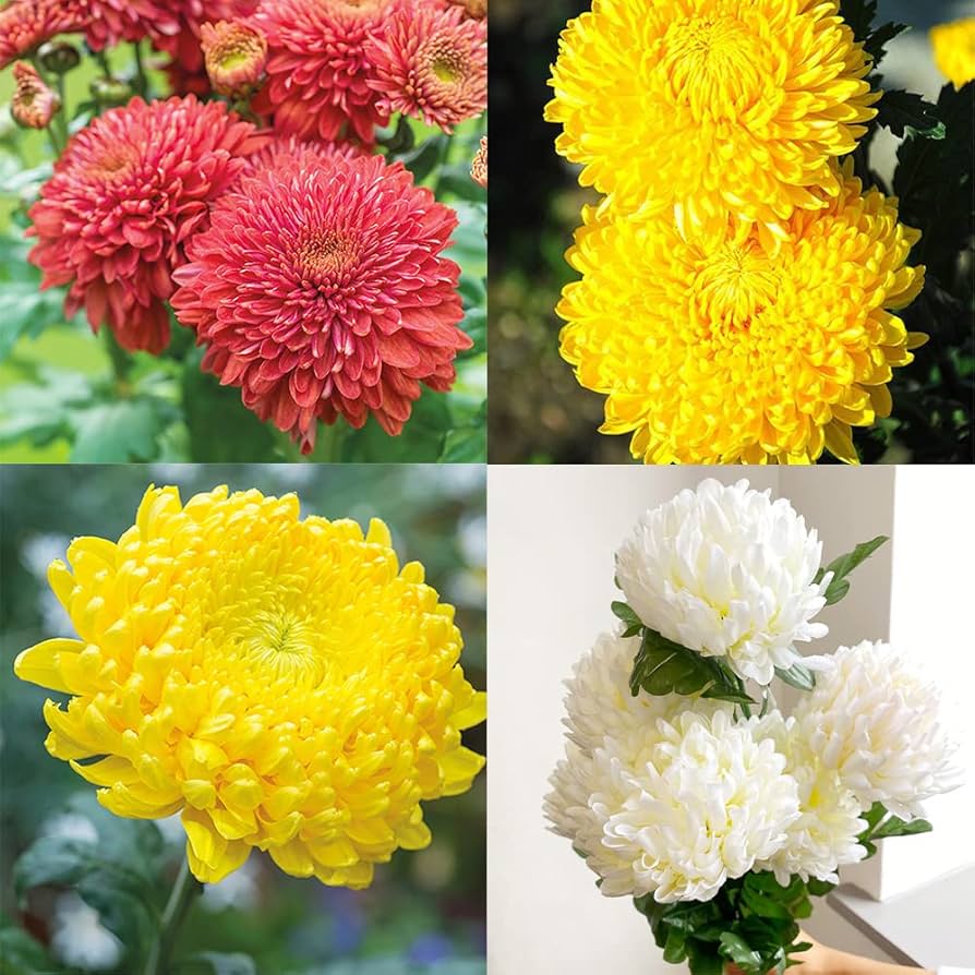 置物 SEPTEMBER MIXED FLOWERS 13