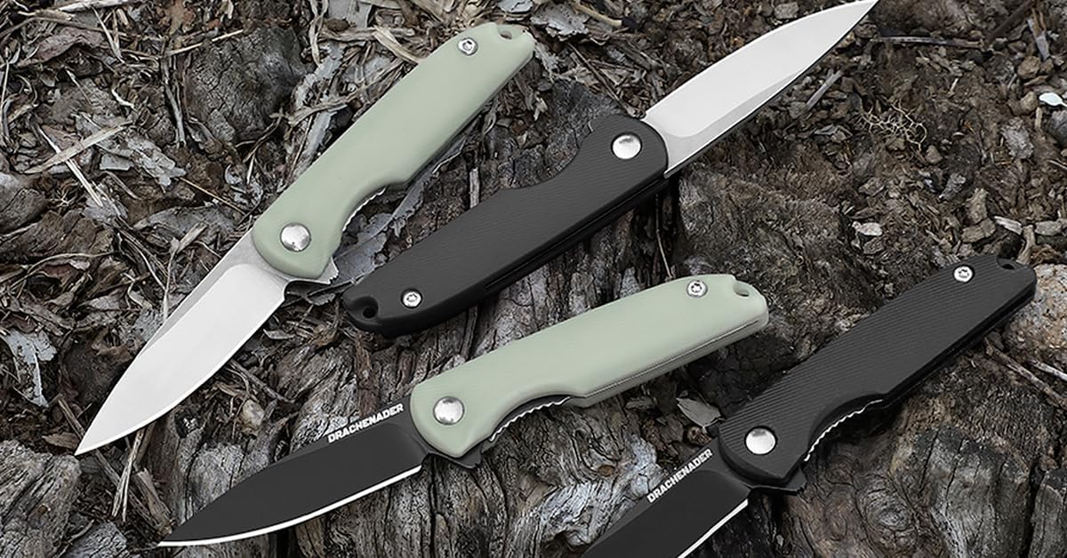 DRACHENADER Small Pocket Knives Keychain for Men 2 Inch Blade Mini Folding Knife (D- C-Silver Blade + Black)