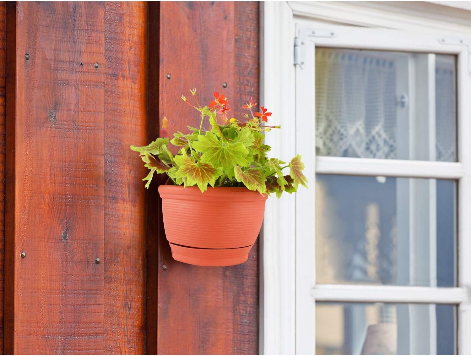 T4U Wall Planter Pots Outdoor Use Plastic 6 Inch Red Set of 2, Small Self Watering Wall Mounted Flower Plant Basket for Home Garden Porch Balcony Kitchen Wall Decoration Wedding Gift