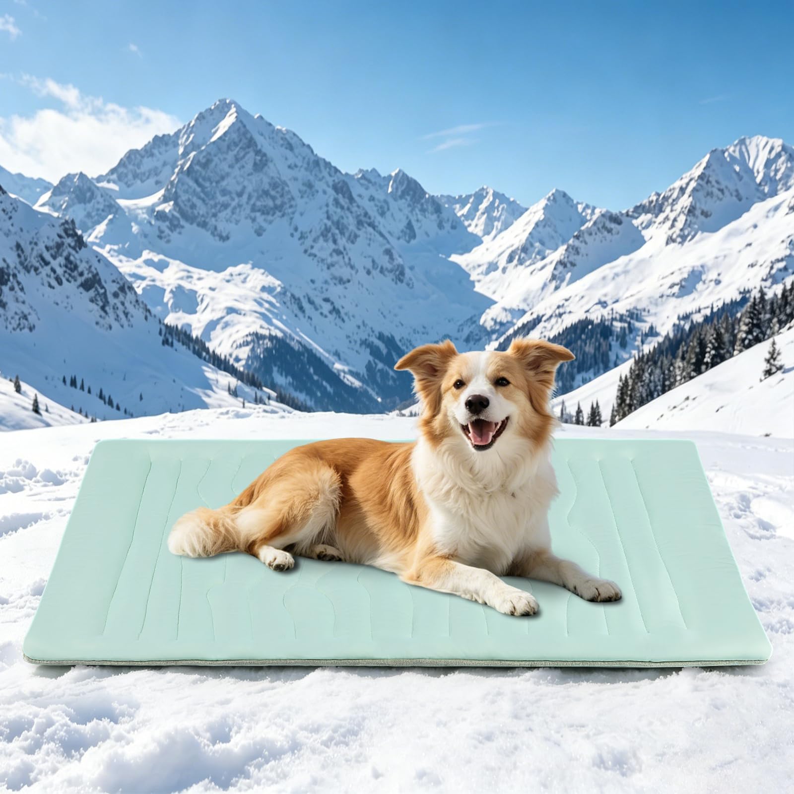YooxArmor Dog Cooling Mat,122 * 71cm,Self-Cooling Pet Mat for Dogs Cats,Non-Toxic Washable Summer Cooling Pad for Small Medium Large Dogs Indoor Outdoor,Green M