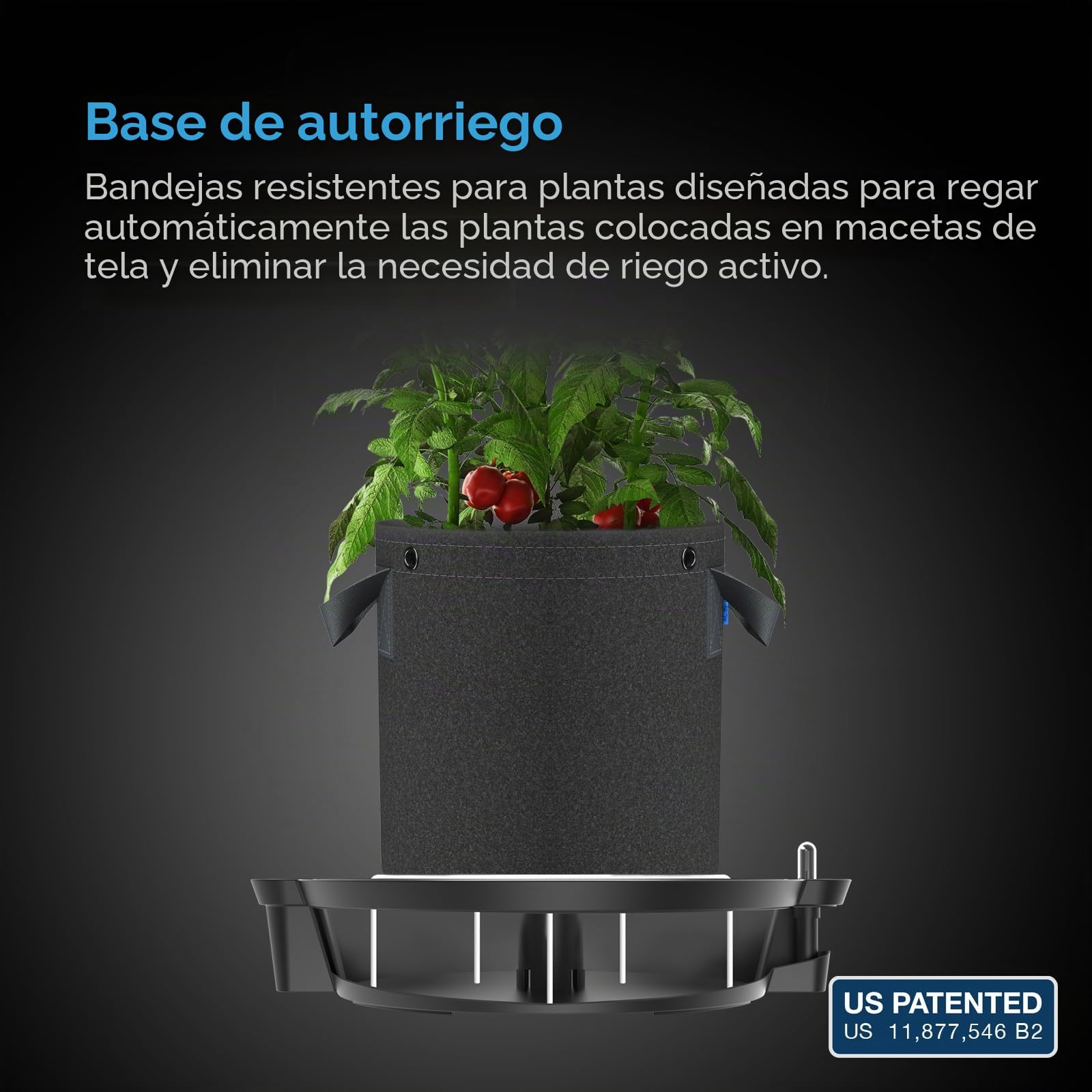 AC Infinity Base de maceta de tela de autorriego, paquete de 4 sistema de suministro de agua de riego automático con medidor de depósito, platillos elevados para uso en tiendas de campaña