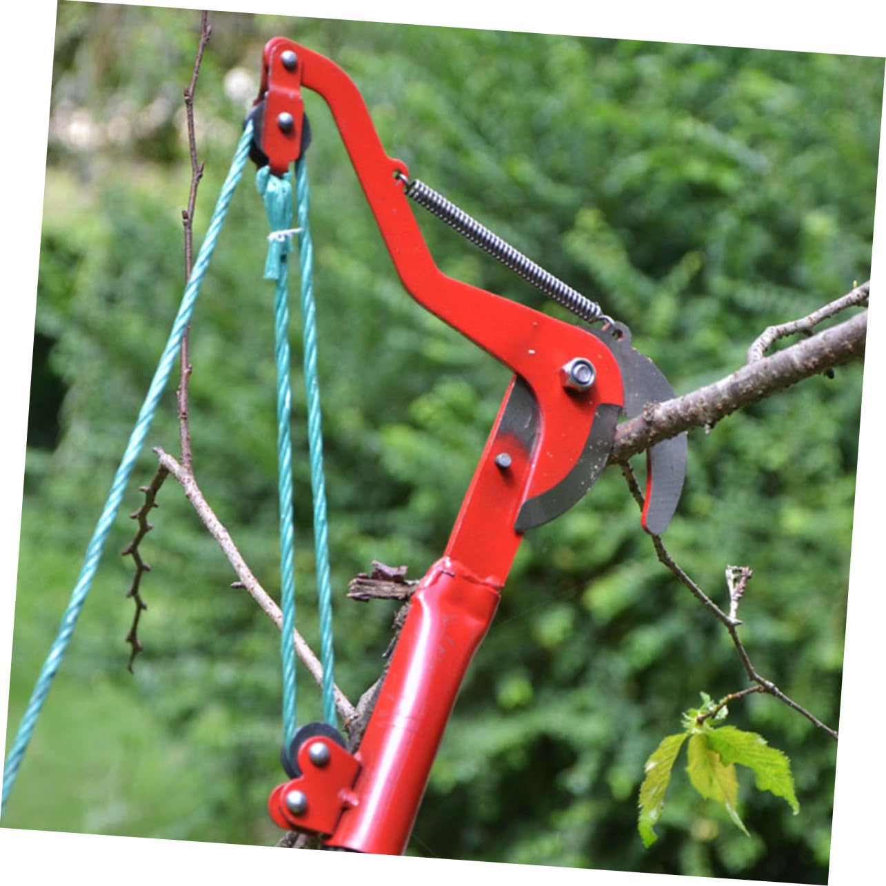 Pflanzenschneider Gartenschere ohne Stange aus Stahl, Rot für Zweige | Seil, Rebschere für Sträucher, Gartenschneidegerät mit Seil, Herbst Feier