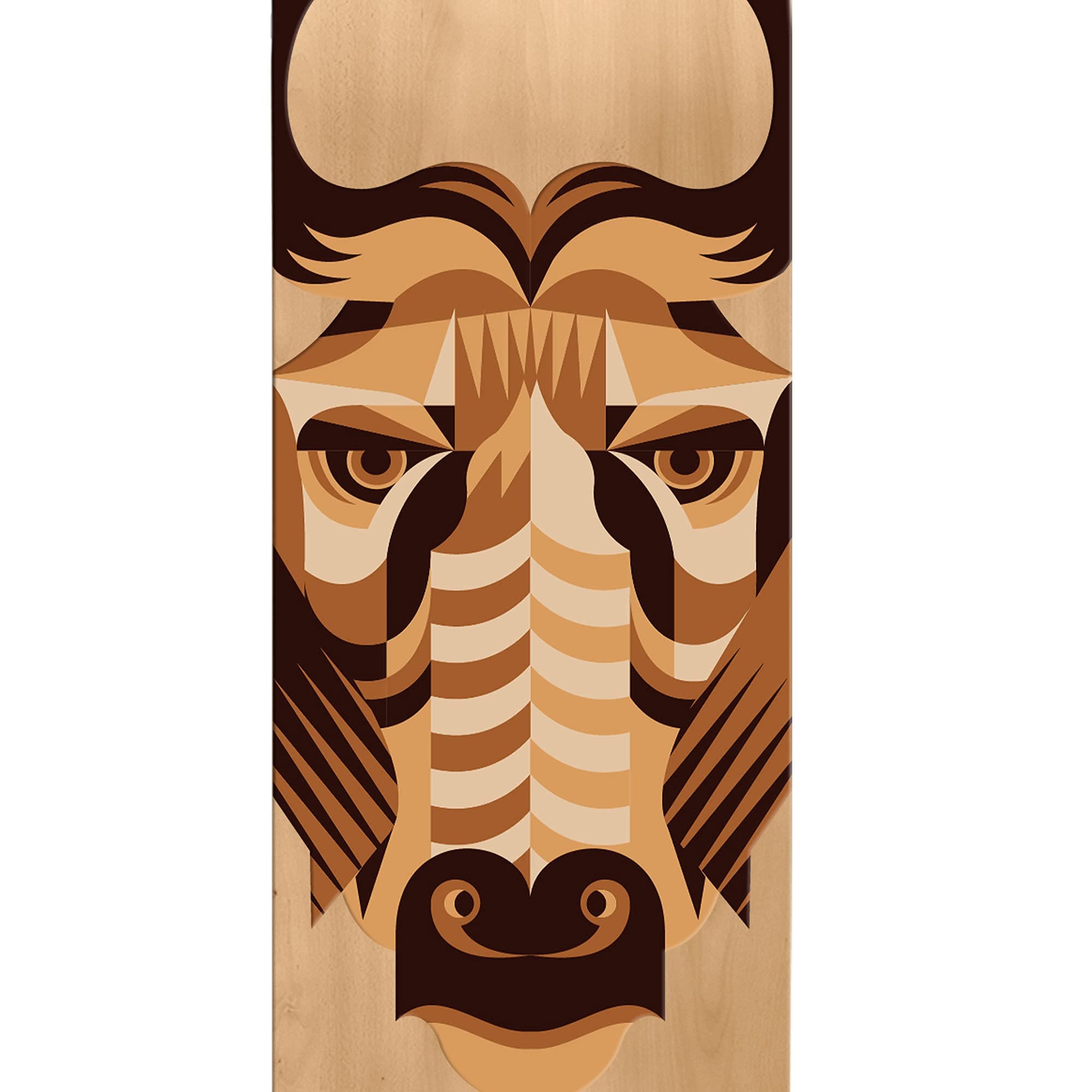 Skatro - Skateboard Professionnel Complet - 78,7 cm pour Adultes, garçons, Filles, débutants et Enfants