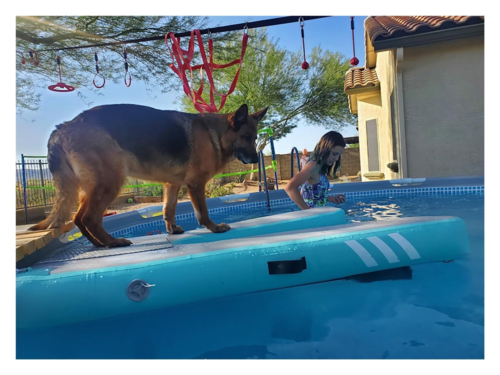 rampa de agua para perros Rampa flotante para perros para piscina, inflable, escalera para mascotas, plataforma de descanso para nadar, muelle, lago, playa, pontón para perros, portátil y reutilizable
