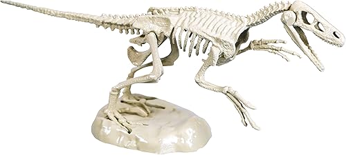 Miniatura 6 de CLEMENTONI 59174 Galileo Science Excavation Kit Velociraptor Juguete para niños mayores de 7 años cavando fósiles de dinosaurios con martillo y