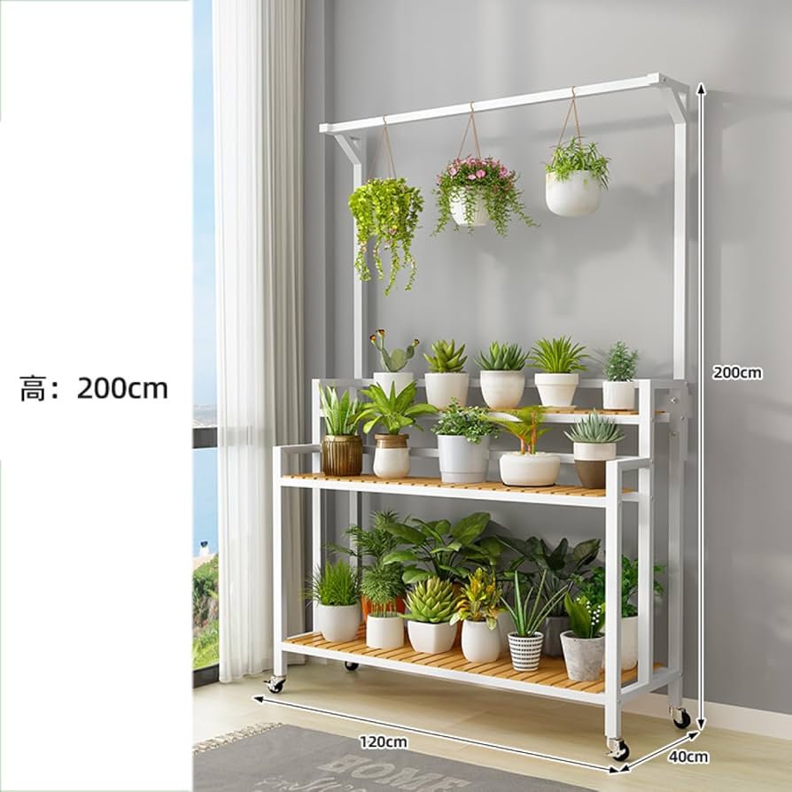 Amazon.co.jp: [GZGZ] 