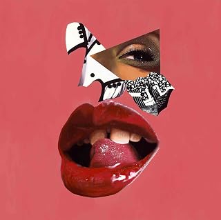 Vakseen Art - Have It All - Vanity Pop - Collage Portrait Art - Limited Edition Giclee Art Print & Framed Pop Art for Wall Decor