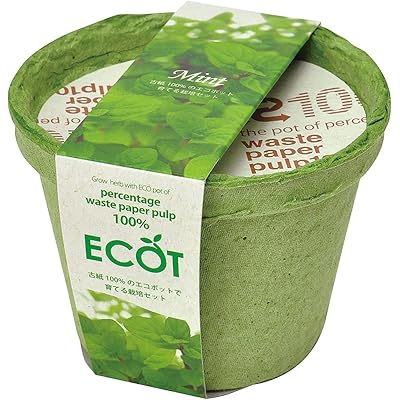 聖新陶芸 通年 家庭菜園 簡単 栽培キット ゆったり育てる ミント ハーブ 栽培セット ( 自由研究 / 食育 ) S 鉢の径12cm エコット 母の日 プレゼ …