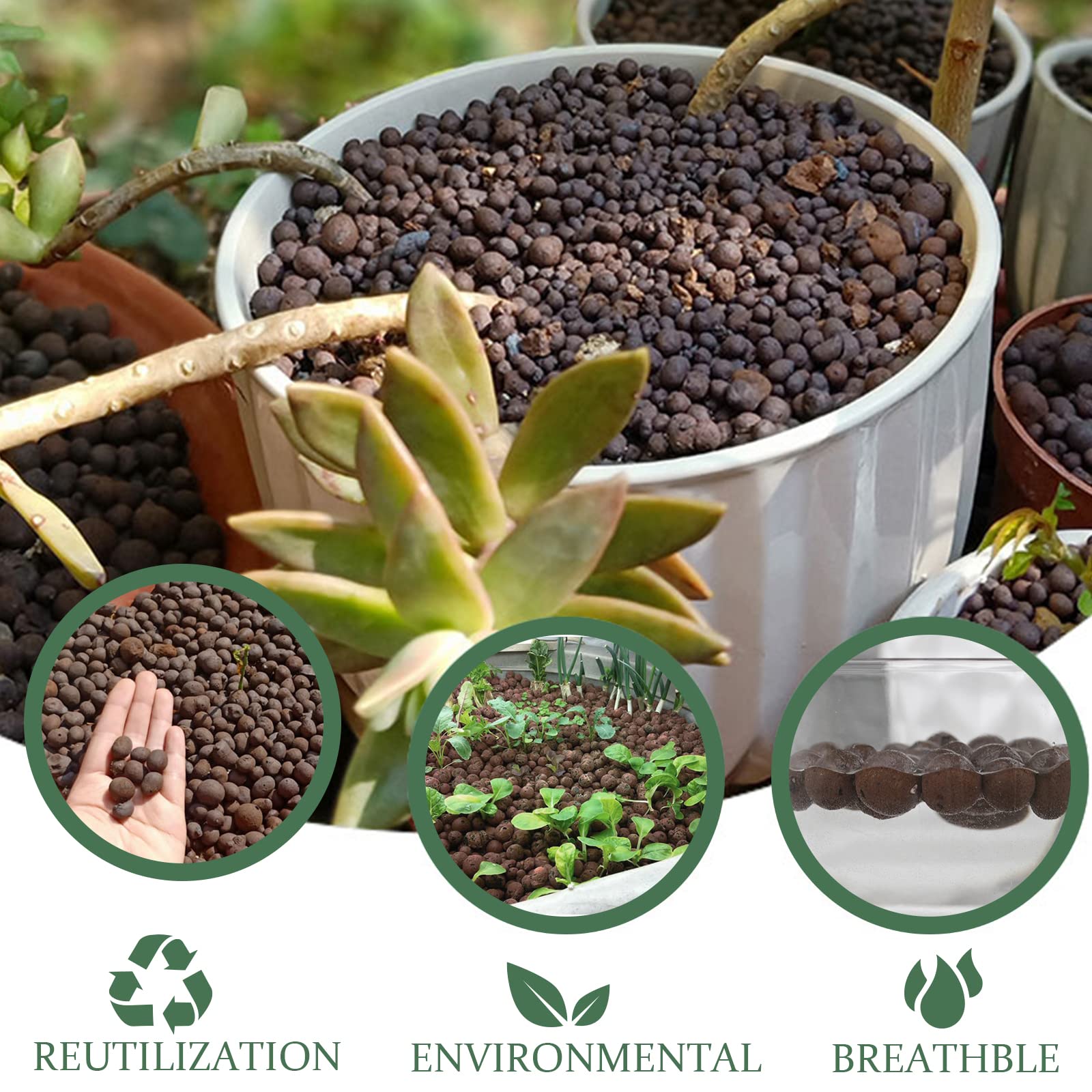 Piedras de arcilla expandida Leca de 6 libras para plantas de jardín de interior (6 libras)