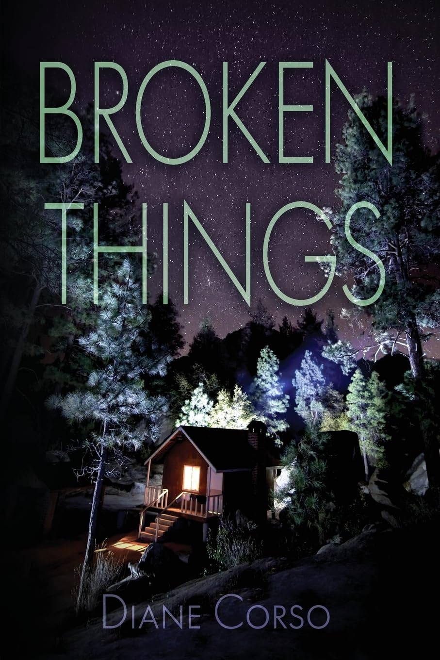 Broken Things: A Supernatural Thriller