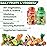 Fruits and Veggies Supplement - 90 Fruit and 90 Vegetable Capsules - 100% Whole Natural Superfood - Filled with Super Greens Vitamins and Minerals - Supports Balance Energy Levels (2 Pack)