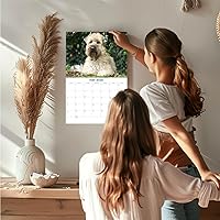 Vista 318 de Razas de Perros 2017