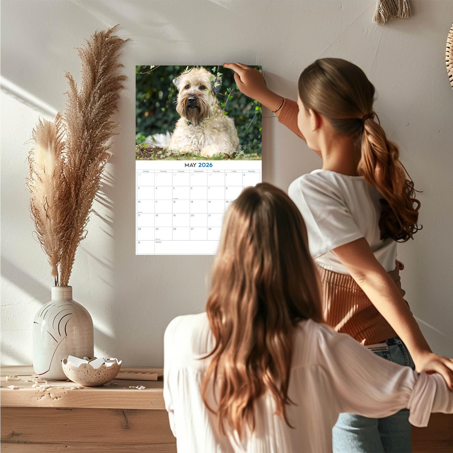 Kalendarz 2024 2025 Softcoat Wheaten Terrier - Miesięczny kalendarz ścienny rasy psów - 30 x 45 cm otwarty - gruby papier bez przebarwień - prezent - akademicki planer nauczyciela kalendarz