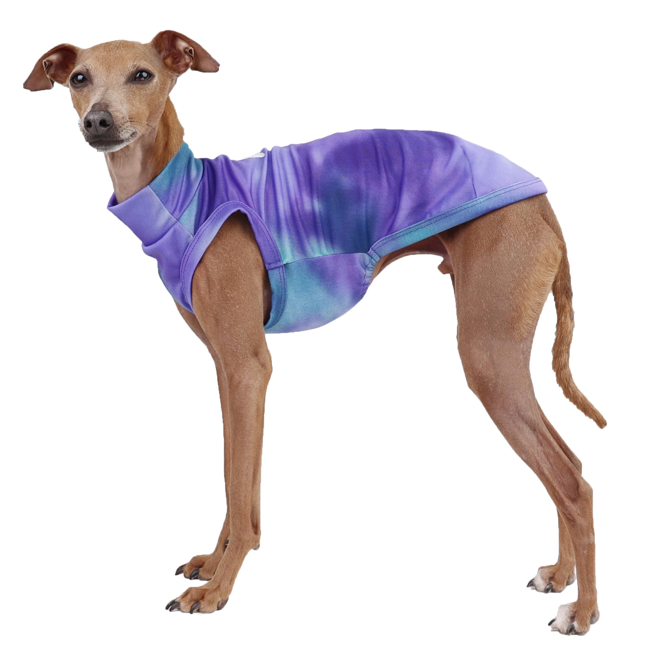 D Doggy Star Italian Greyhound Clothes Summer Cool T Shirts Rashguard Swimsuit Whippet for Dogs (L,Cool Stained Purple) — image 1