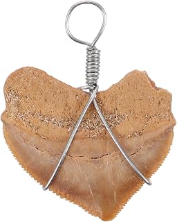 Shark Tooth Pendant Necklace for Men, Halloween Season Outdoor