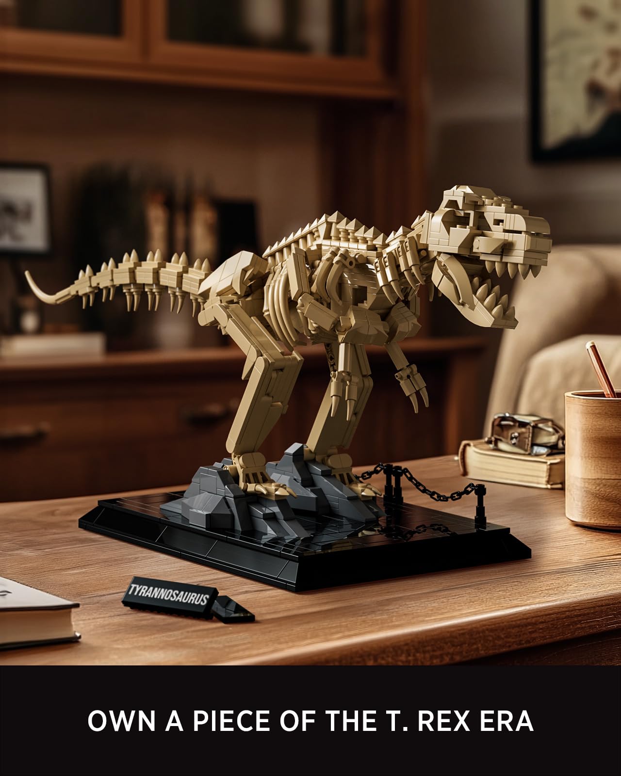 Amazon.co.jp: Nifeliz T.Rex 恐竜化石組み立てセット、NF10343