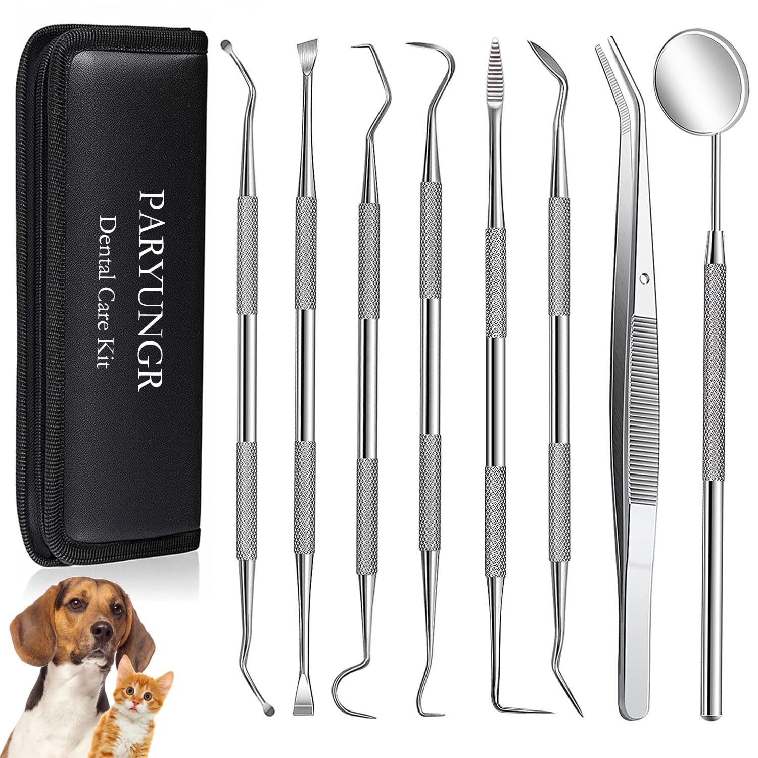 best plaque remover for dogs