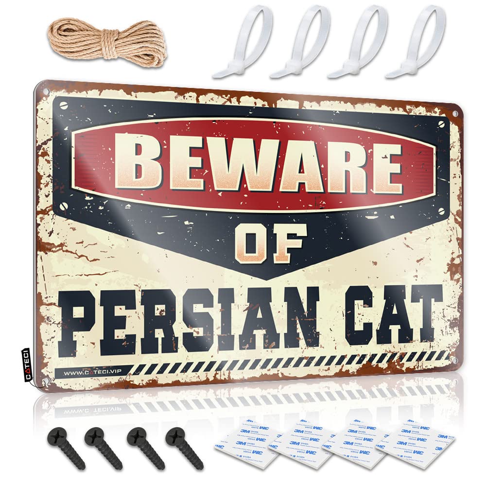 Plaques Neon Friends Smiley Face Bridesmaid Gift Beware Of Persian Cat - Easy To Hang Art(30X40CM)