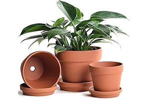 INGOFIN Terracotta Pots Set: Elevate Your Indoor and Outdoor Gardening