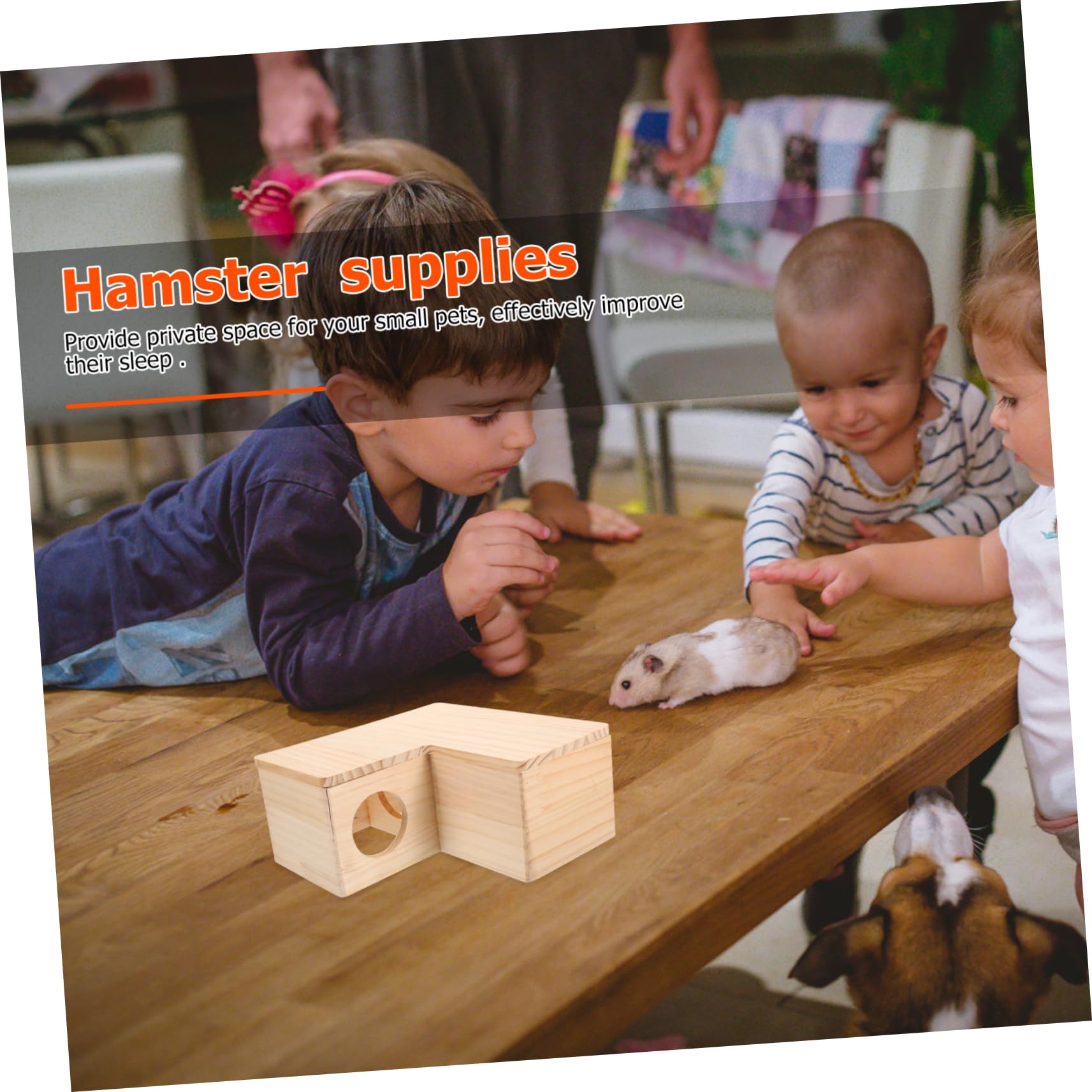 SUPVOX Maison pour Hamster Naturel Tunnel pour Hamster à Plusieurs Chambres Maison pour Rat