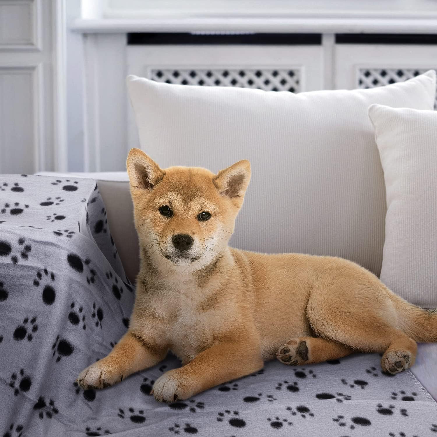 Nobleza - 6 x Hundedecke Weiche Fleecedecke Waschbare Deck für Haustier Hunde Katzen Welpen Weiche Warme Matte, Grau, 160 * 100cm