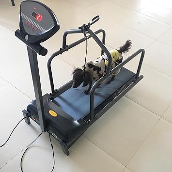 Pet Treadmill, Dog Treadmill for Medium Dogs, Dog Running Training Machine Dog Treadmill with Safety Fence, Quiet Motor, and Adjustable Speeds for Indoor Exercise