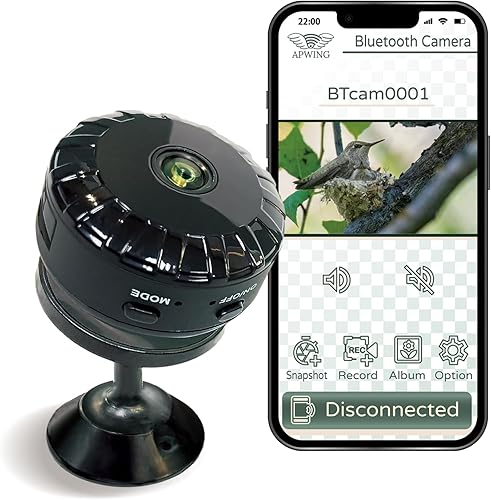 Cámara inalámbrica Bluetooth para interiores baja radiación, cámara de seguridad portátil con lapso de tiempo, reproducción, monitoreo de mascotas y