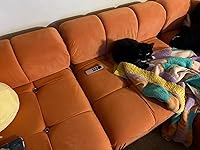 Review Image by Lu B Lu B