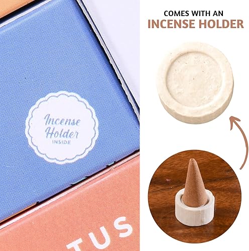 Miniatura 3 de Folkulture Conos de incienso perfumados, juego de 6 fragancias (120 conos) con soporte para conos de incienso, incienso de pachulí de amapola de