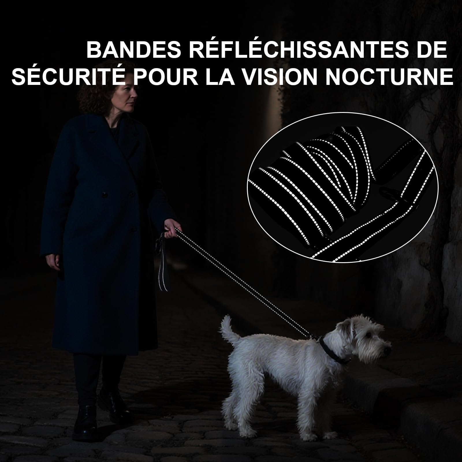 Longe pour Chien - Longe 3M 10M 20M 30M Laisse pour Chien, Laisse de Dressage avec Poignée pour Chiens, Refléchissant (10M)