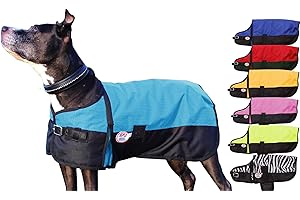 Derby Originals Horse Tough 600D Ripstop Waterproof Horse Coats for Winter