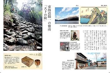 写真でたどる現代の東海道五十三次を往く 上巻 (日本橋~袋井宿) | 株式
