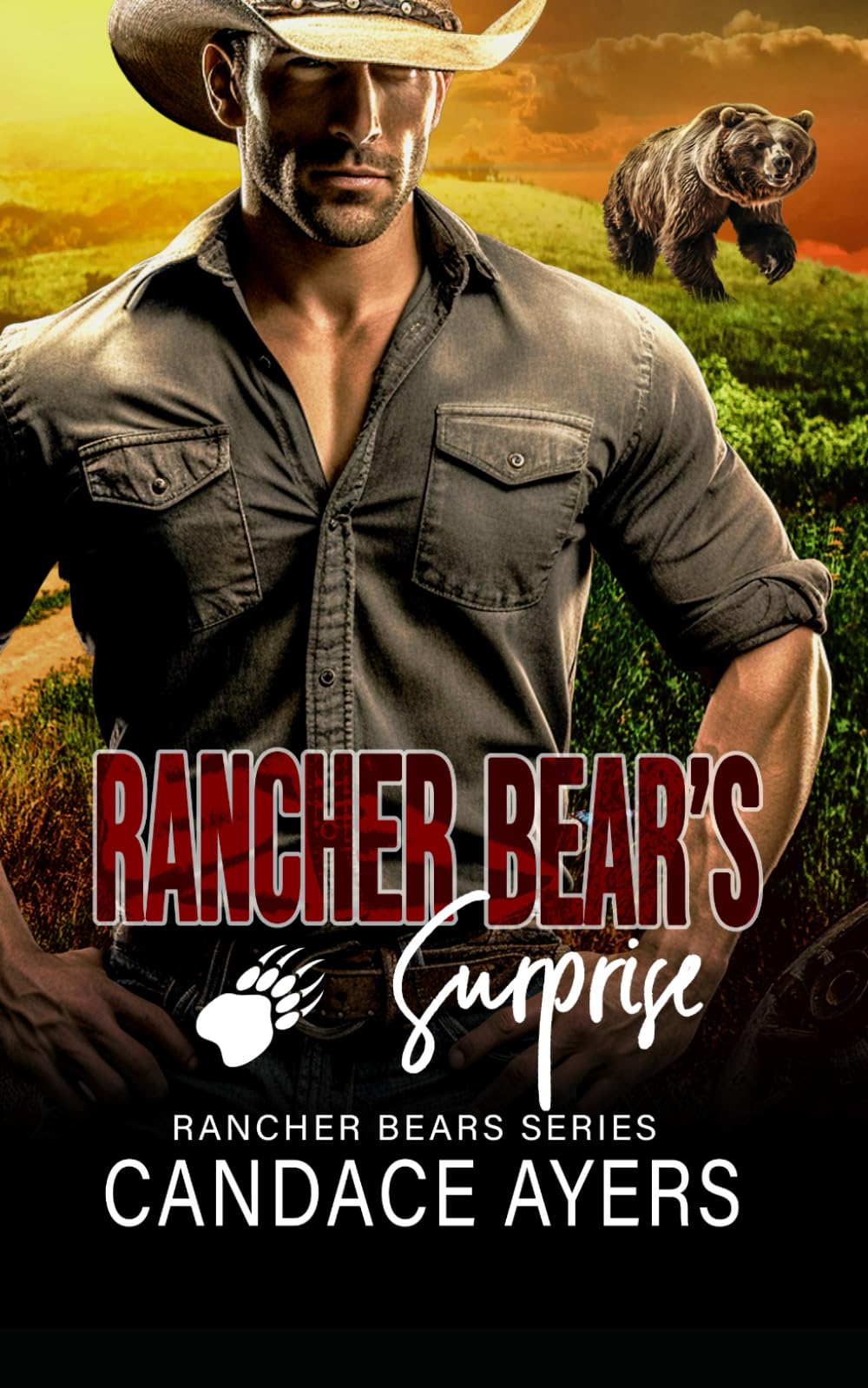Rancher Bear's Surprise: Bear Shifter Romance (Rancher Bears Series)