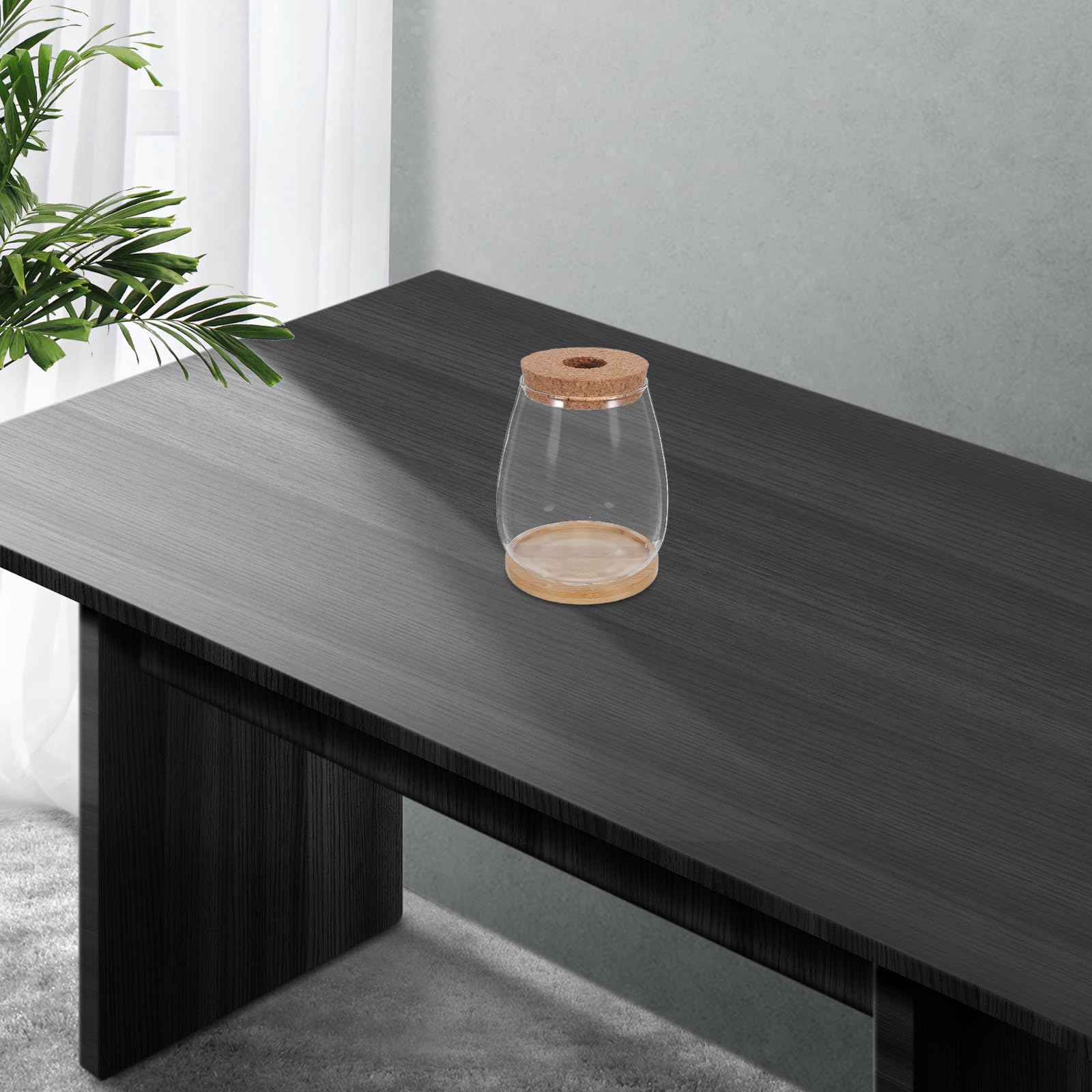 Toyvian Lot de 2 Sets de Vases de Propagation en Verre Hydroponique Grand Format avec Bouchon en Liège et Support en Bambou, Stations de Culture Solide pour Plantes D’intérieur Bureau