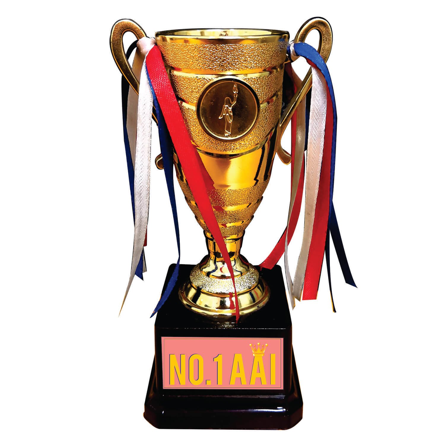 Yaya Cafe No. 1 Queen Mom Trophy Golden Aai Marathi Champion for Mom (B07C3XBJFV) Amazon Price History, Amazon Price Tracker