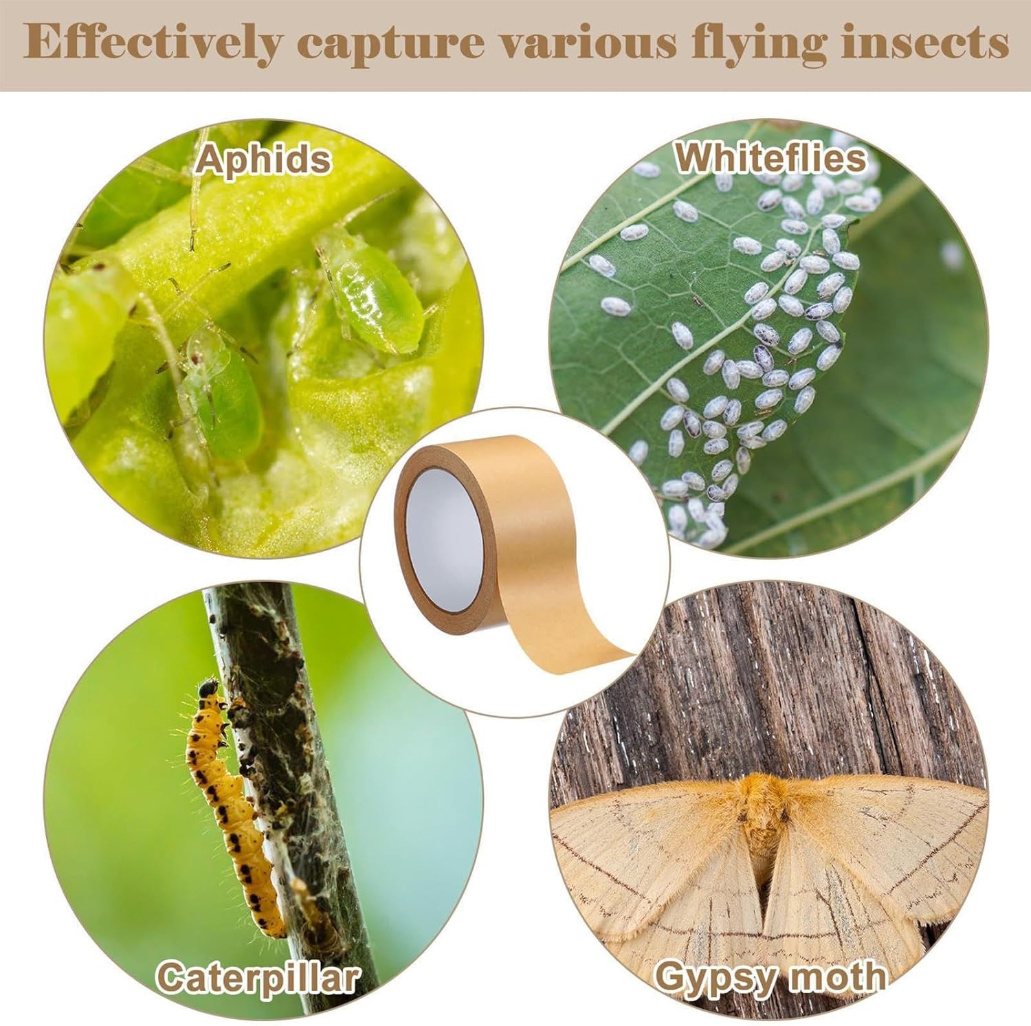 Tree Barrier Tape,164 Ft x 2 Inch Caterpillar Tree Tape - Sticky Barrier, Plant Protector for Outdoor Lawn Garden Orchard - Image 4