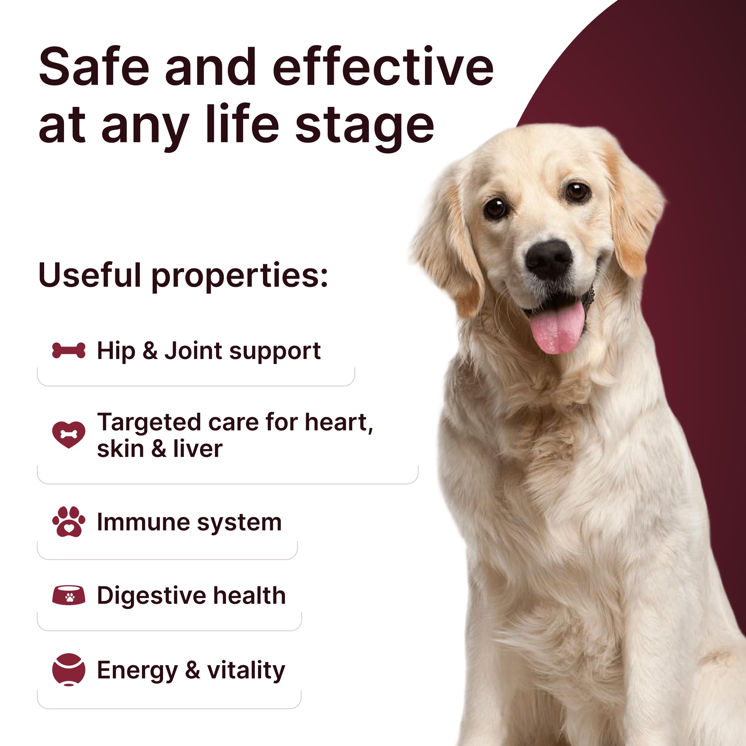 Hip & Joint Supplement for Dogs – Mobility Support with Glucosamine, Chondroitin, MSM, Turmeric, Mussel, Hemp Dog Joint Pain Relief – 120 Soft Chews for Large, Medium, Small Dogs Breeds– Beef Flavor - image 3