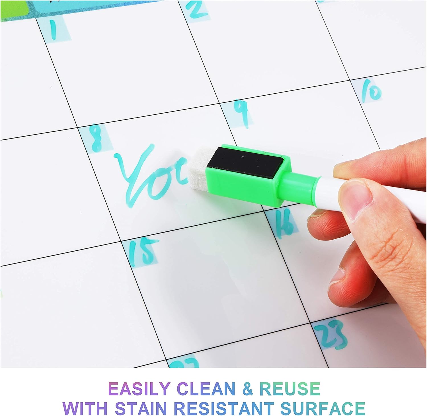 Calendar for Refrigerator Fridge Calendar, Dry