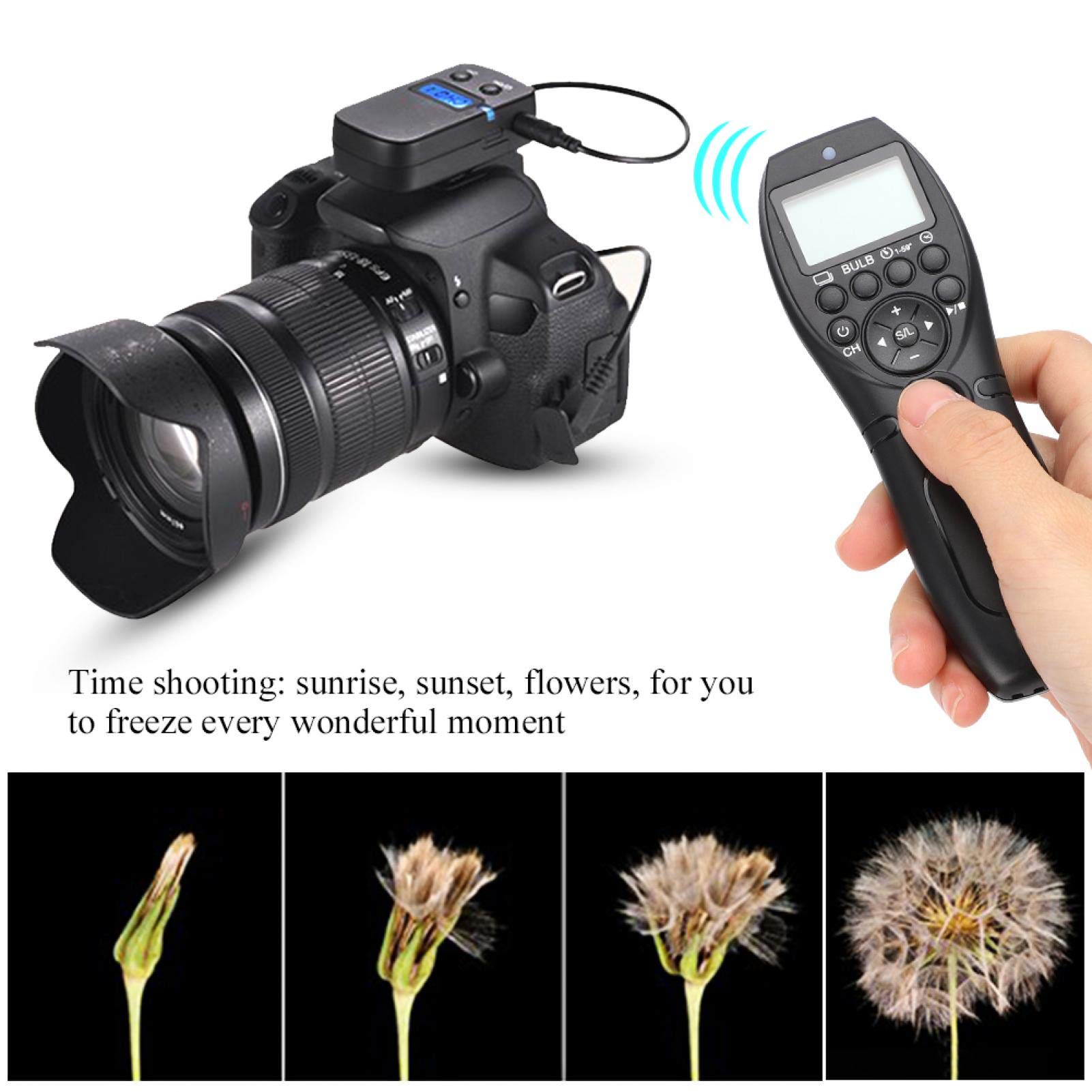 MC-292 DC0 Bezprzewodowy Kabel Zdalnego Wyzwalania Migawki, Bezprzewodowy Pilot Zdalnego Sterowania Czasowego do Aparatu Nikon D850 D810 D810A D800 D800E D700 D500 D6 D5 D4 D3 D2 D1 Itp.
