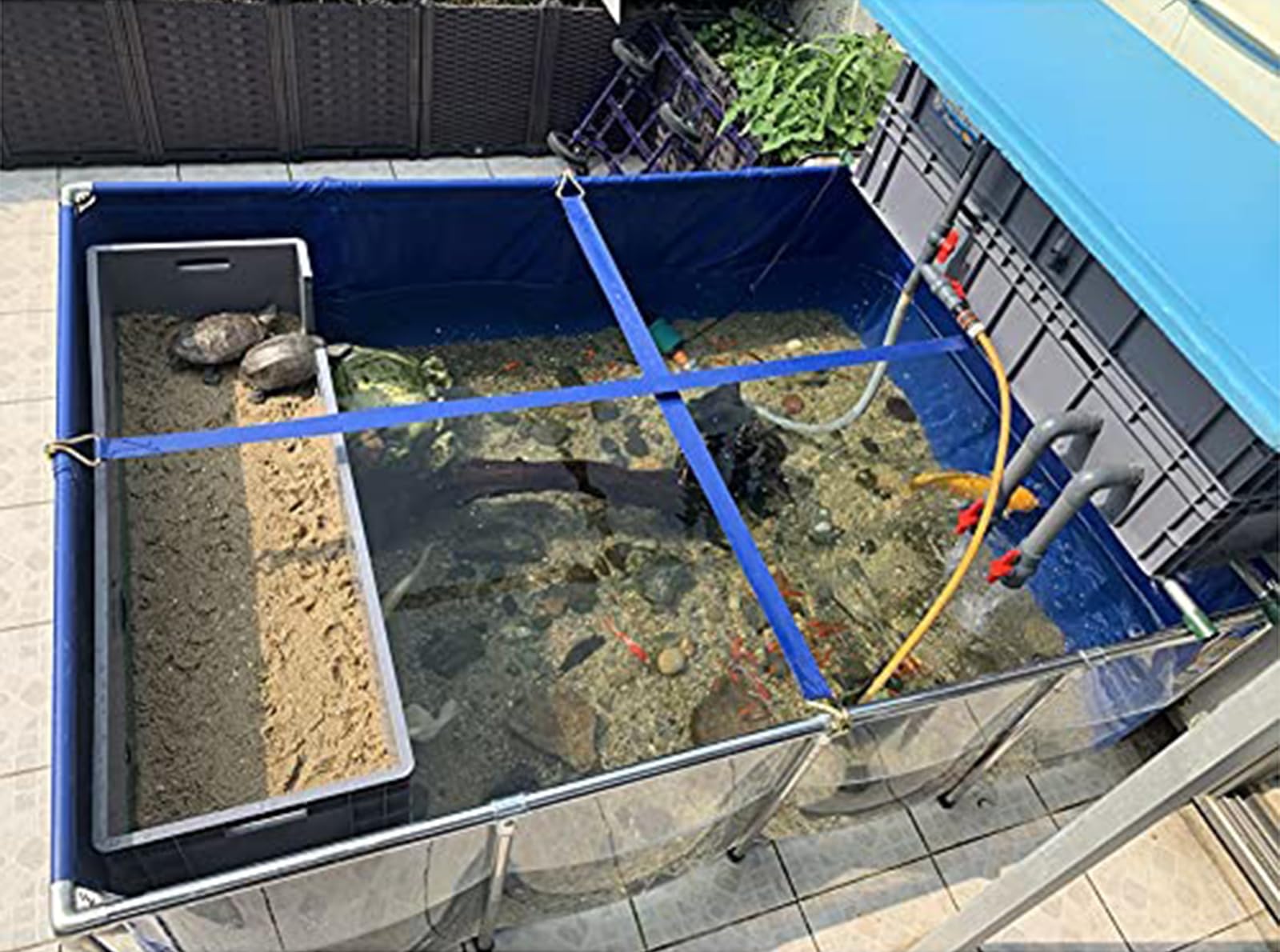 200x100x61cm,Estanque Elevado para Peces: Revestimiento De Lona De PVC con Estructura De Acero, Fácil De Instalar, Ventana Transparente, Tanque Ideal para La Cría De Carpas Koi.