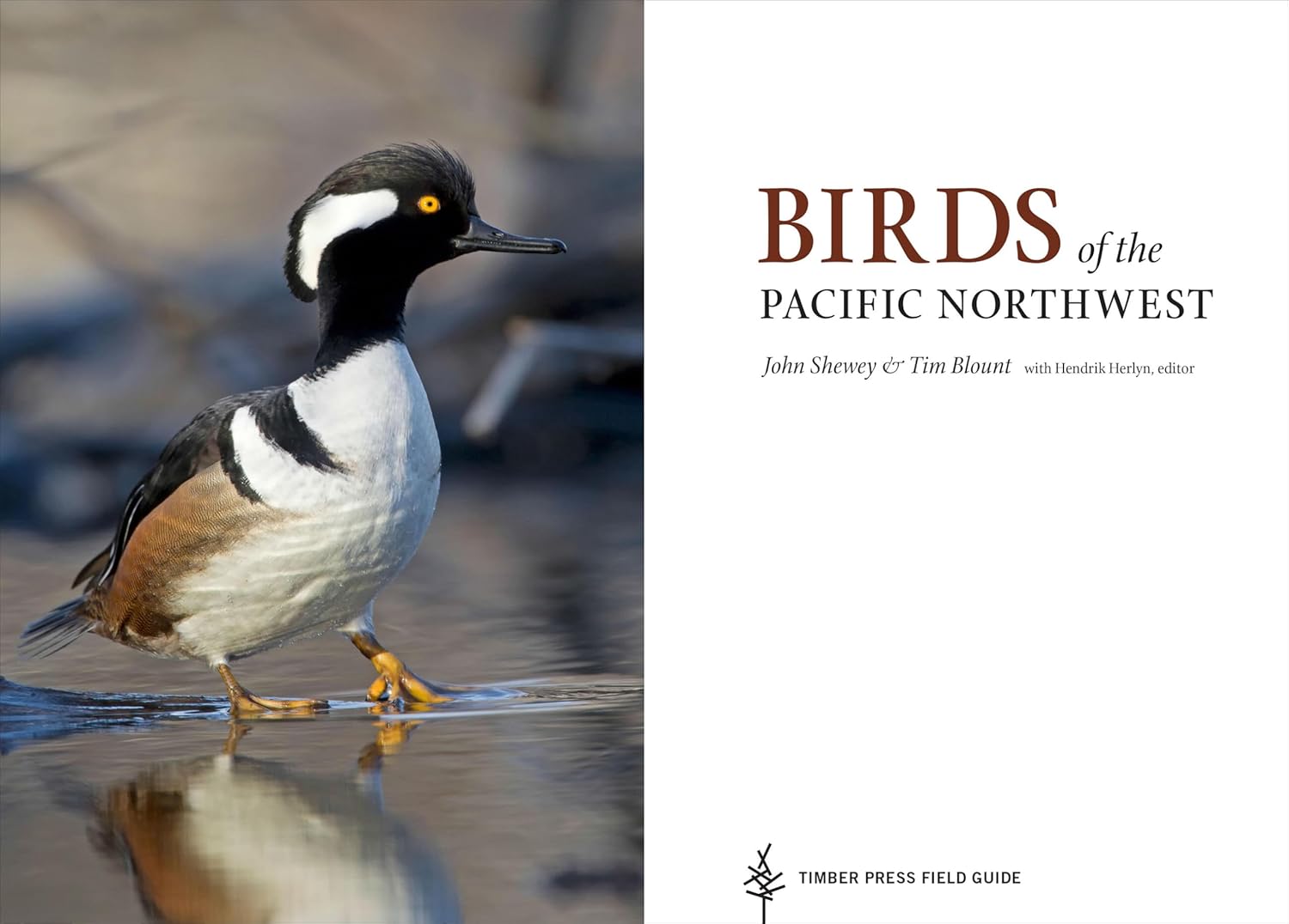 Birds of the Pacific Northwest (A Timber Press Field Guide) - Image 3